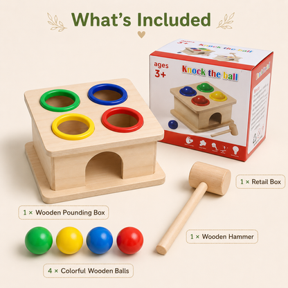 3-in-1 Montessori Brain Booster Learning Bundle